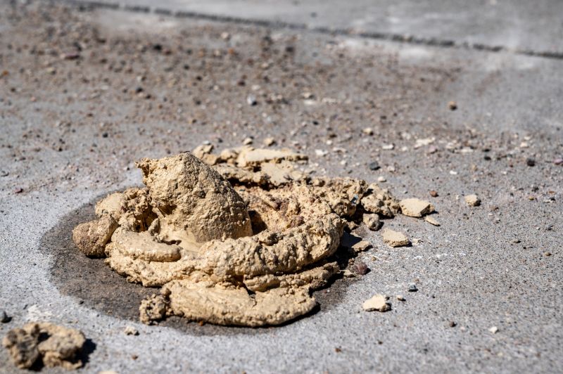 Increase Your Land Clearing Business with an AI Driven, Targeted Website