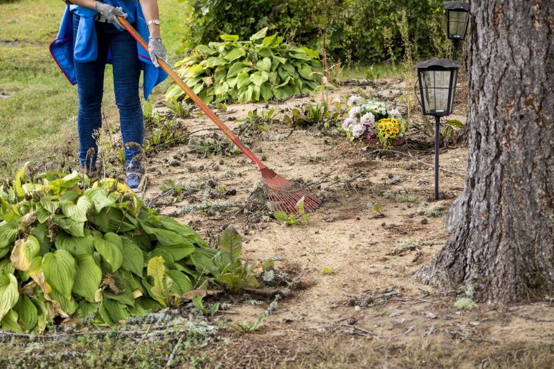 Seasonal Land Clearing