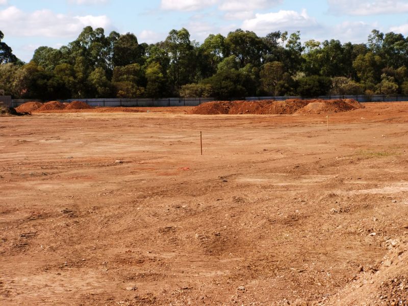 Clear Land for Development