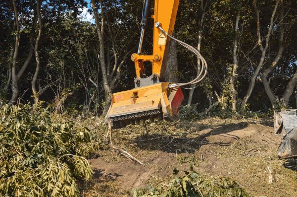 Brush Removal Service in Flagstaff