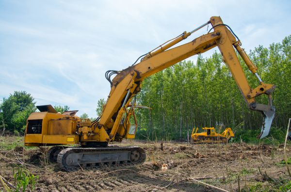 Farm Clearing in Flagstaff