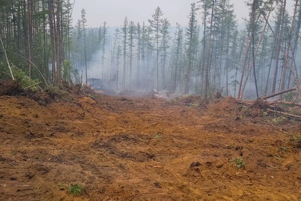 Hill Clearing in Flagstaff