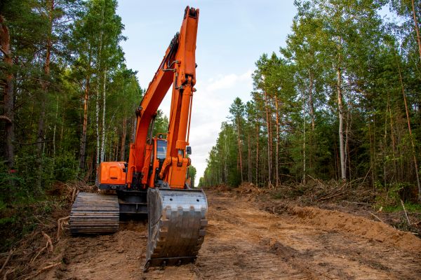 Backhoe Land Clearing in Flagstaff