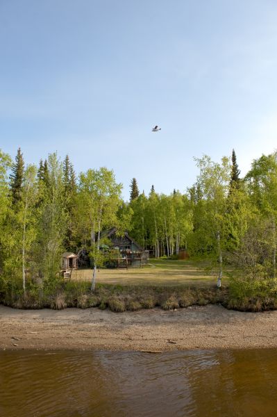 Waterfront Land Clearing in Flagstaff
