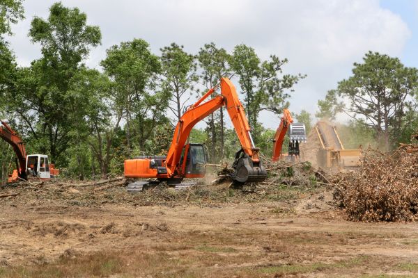 Commercial Lot Clearing in Flagstaff